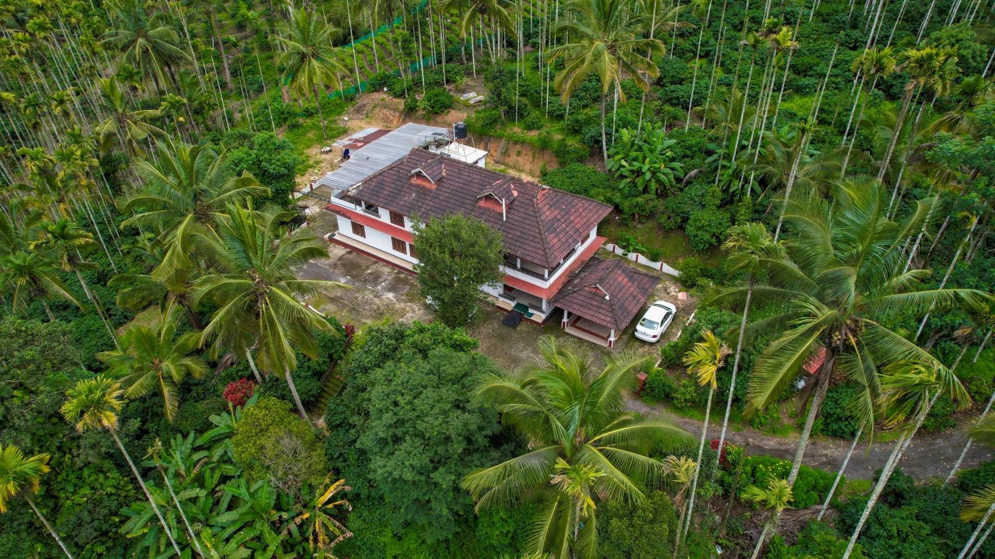 דירות סולטאן באטרי Wayanad Palm Grove Retreat G Floor מראה חיצוני תמונה