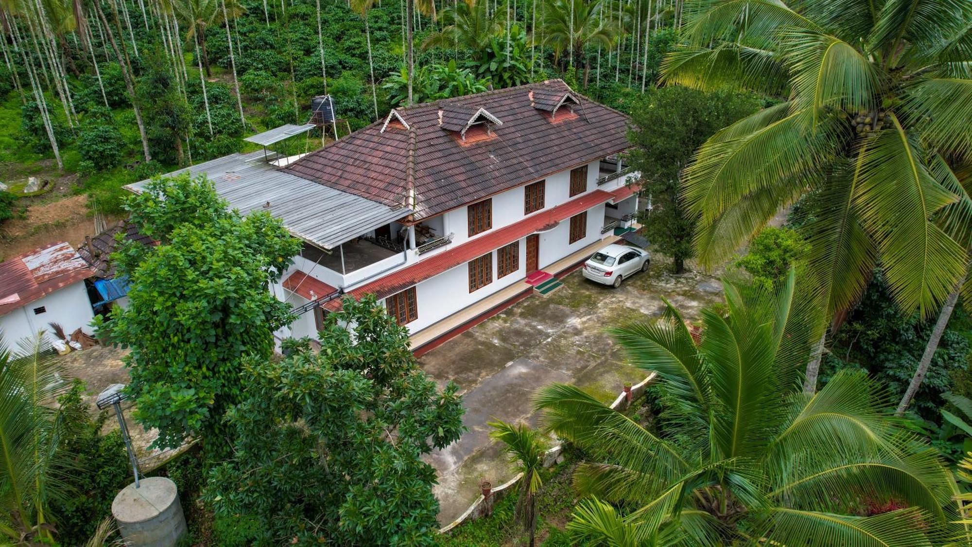 דירות סולטאן באטרי Wayanad Palm Grove Retreat G Floor מראה חיצוני תמונה