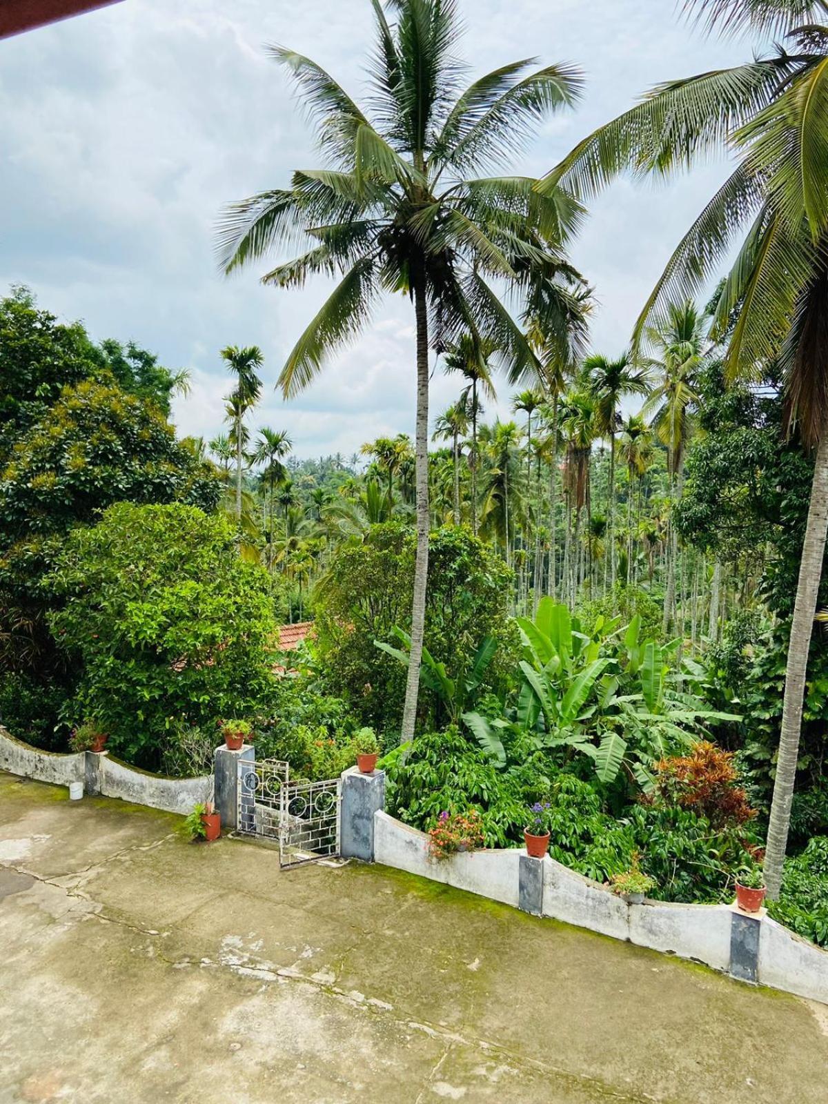 דירות סולטאן באטרי Wayanad Palm Grove Retreat G Floor מראה חיצוני תמונה